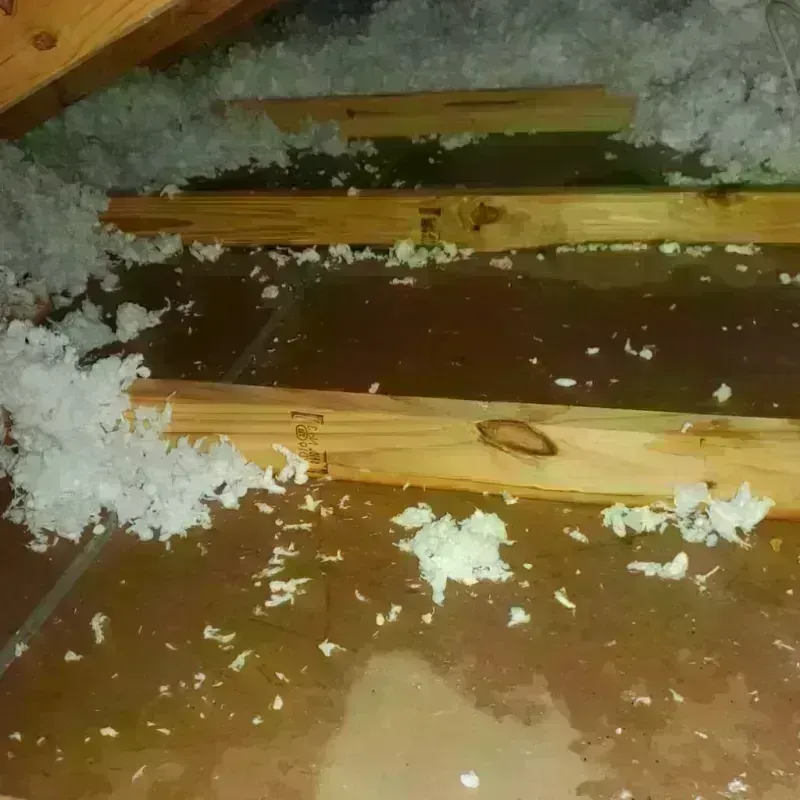 Attic Water Damage in Weaverville, CA